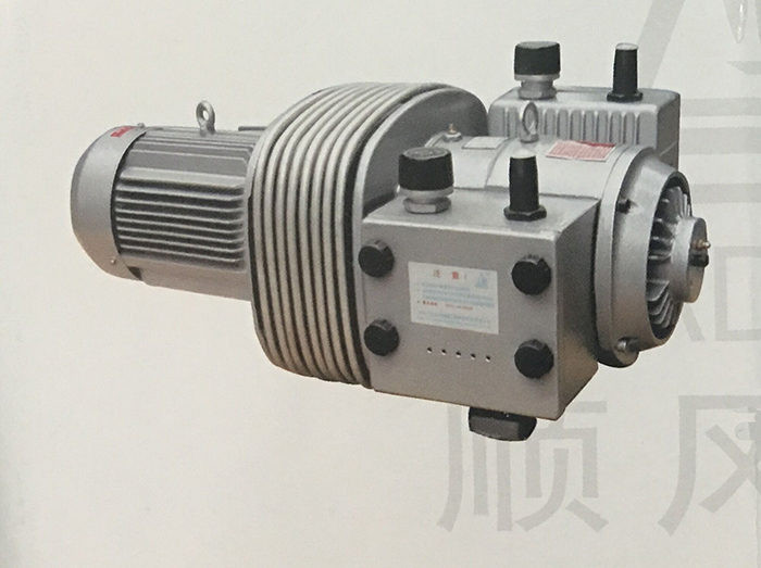 BDV Dry Running Vacuum/Pressure Pump